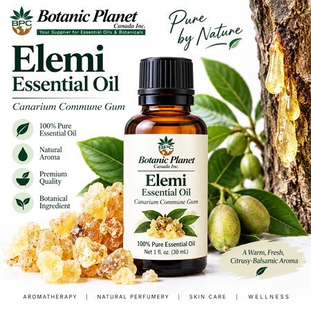 Elemi Essential Oil
